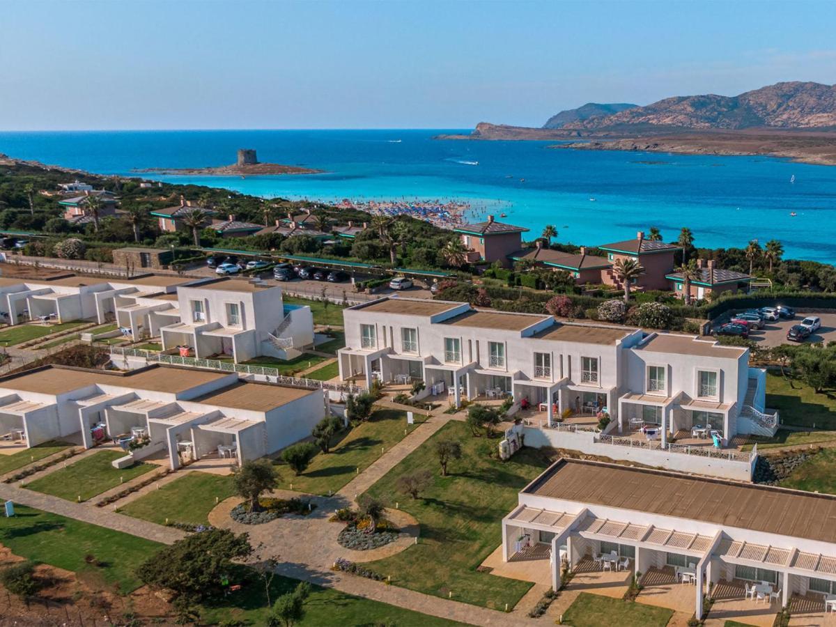 Apartment Capo Falcone Charming Apartment-2 By Interhome ستينتينو المظهر الخارجي الصورة
